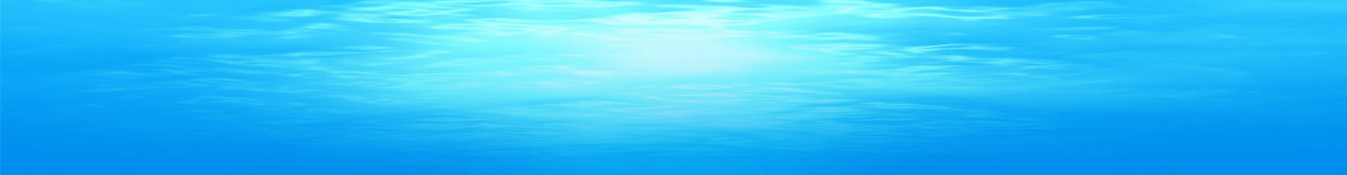 El Metabolismo y Nuestra Salud